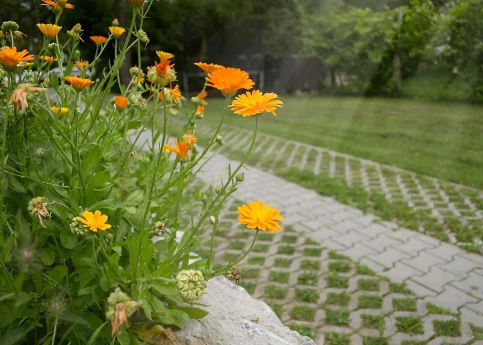 Hiska Ob Potoku Dobrna